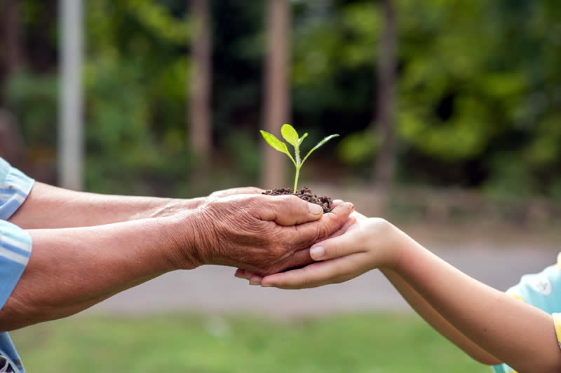 Compromiso socioambiental Compromiso socioambiental