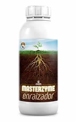 Enraizador Home Enraizador