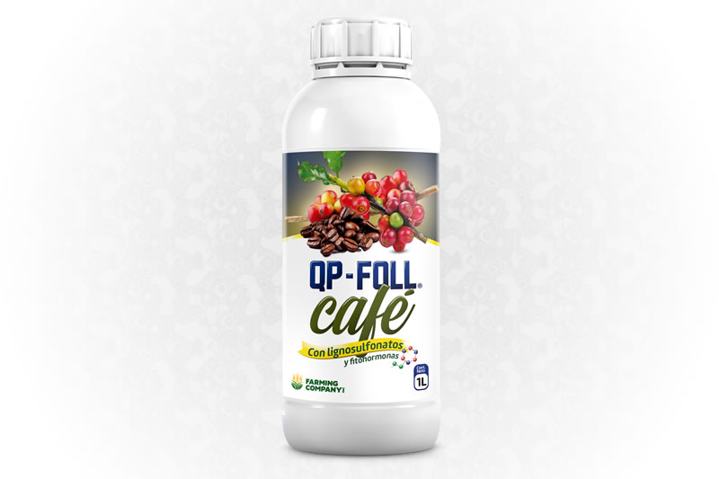 QP-Foll Café QP-Foll Café